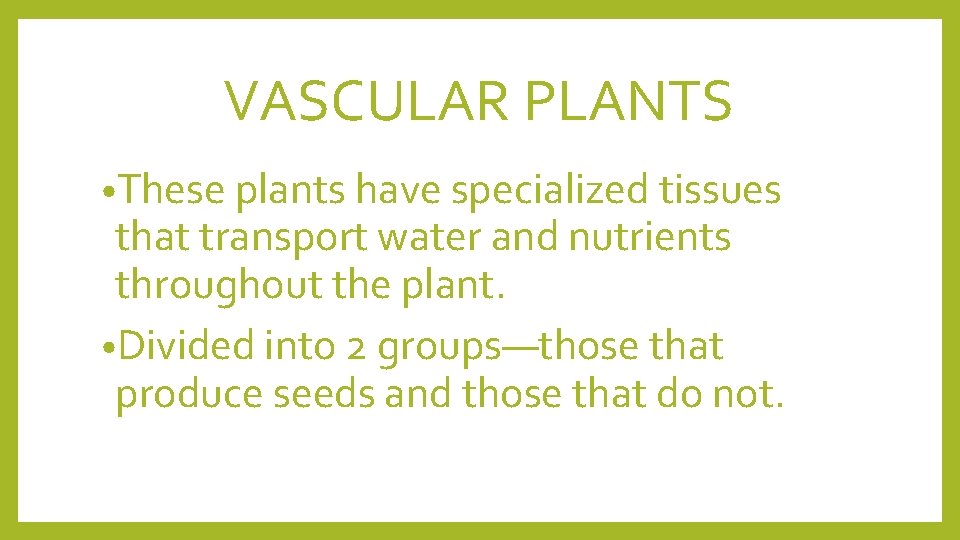 VASCULAR PLANTS • These plants have specialized tissues that transport water and nutrients throughout