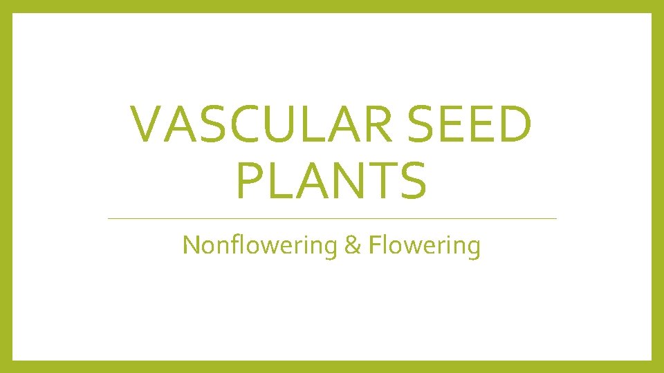 VASCULAR SEED PLANTS Nonflowering & Flowering 