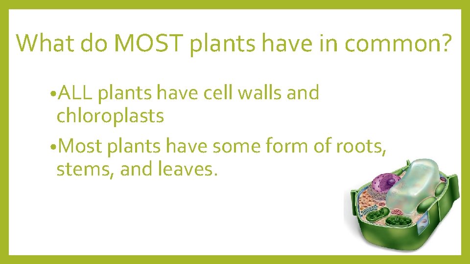 What do MOST plants have in common? • ALL plants have cell walls and