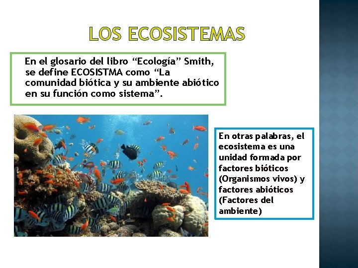 LOS ECOSISTEMAS En el glosario del libro “Ecología” Smith, se define ECOSISTMA como “La