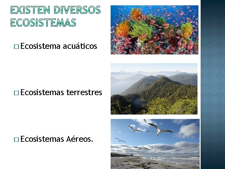 � Ecosistema acuáticos � Ecosistemas terrestres � Ecosistemas Aéreos. 