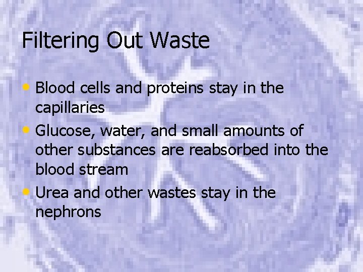 Filtering Out Waste • Blood cells and proteins stay in the capillaries • Glucose,