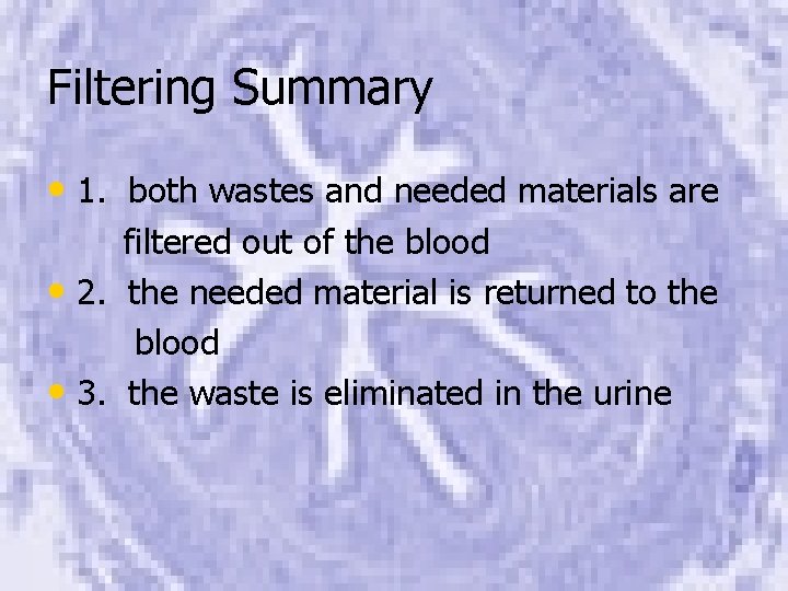 Filtering Summary • 1. both wastes and needed materials are filtered out of the