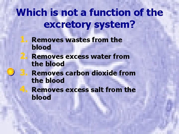 Which is not a function of the excretory system? 1. Removes wastes from the