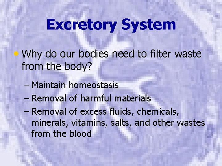 Excretory System • Why do our bodies need to filter waste from the body?
