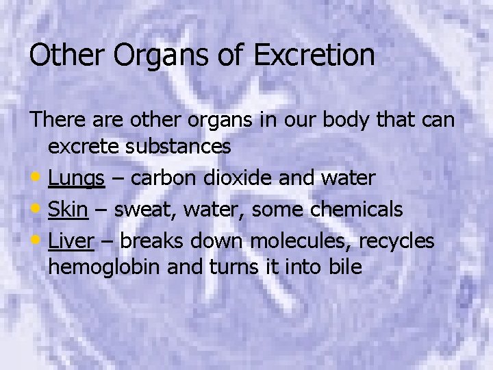 Other Organs of Excretion There are other organs in our body that can excrete