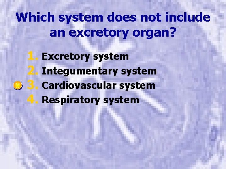 Which system does not include an excretory organ? 1. Excretory system 2. Integumentary system