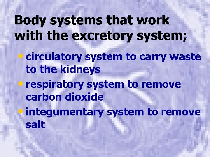 Body systems that work with the excretory system; • circulatory system to carry waste