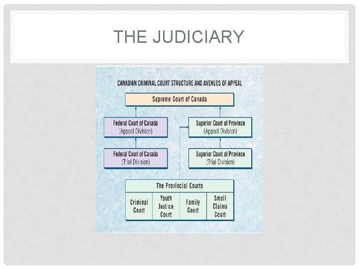 THE JUDICIARY 