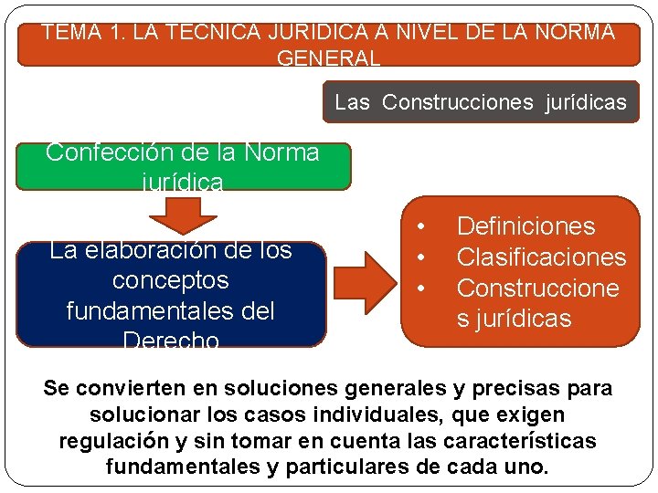 TEMA 1. LA TÉCNICA JURÍDICA A NIVEL DE LA NORMA GENERAL Las Construcciones jurídicas