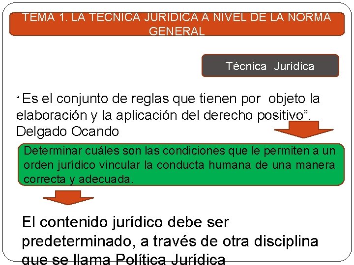 TEMA 1. LA TÉCNICA JURÍDICA A NIVEL DE LA NORMA GENERAL Técnica Jurídica “