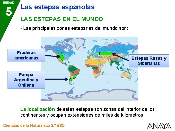 UNIDAD 5 Las estepas españolas LAS ESTEPAS EN EL MUNDO • Las principales zonas