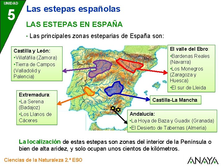 UNIDAD 5 Las estepas españolas LAS ESTEPAS EN ESPAÑA • Las principales zonas esteparias