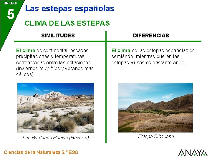 UNIDAD 5 Las estepas españolas CLIMA DE LAS ESTEPAS SIMILITUDES El clima es continental: