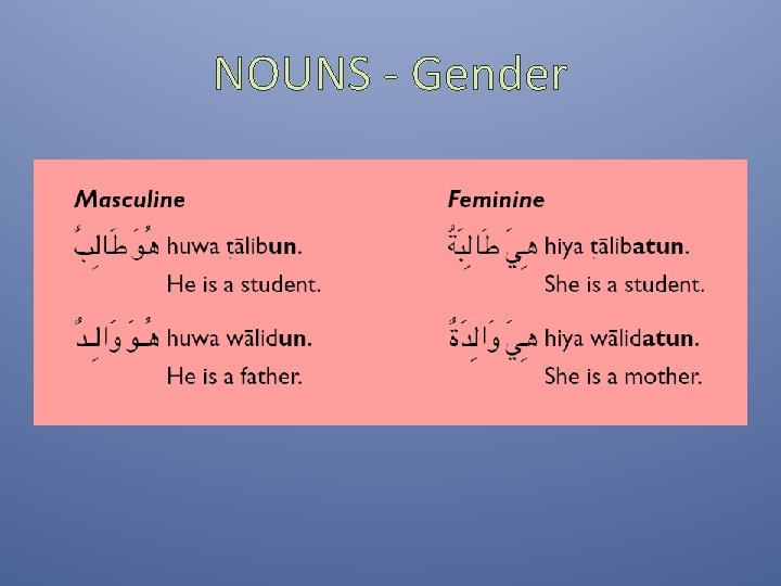 NOUNS - Gender NOUNS - Gender