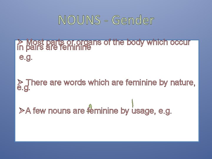 NOUNS - Gender Ø Most parts or organs of the body which occur in NOUNS - Gender Ø Most parts or organs of the body which occur in