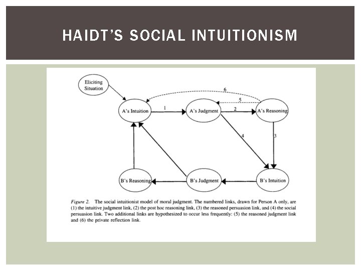 HAIDT’S SOCIAL INTUITIONISM 