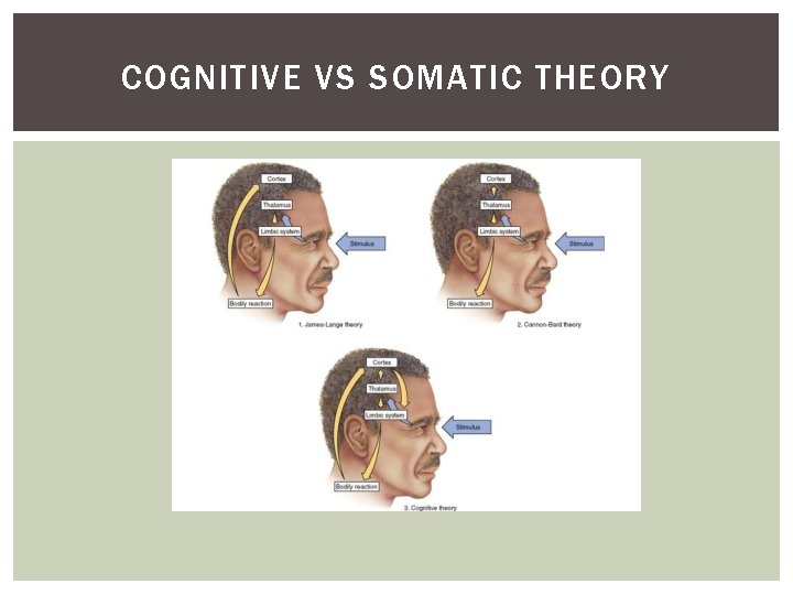 COGNITIVE VS SOMATIC THEORY 