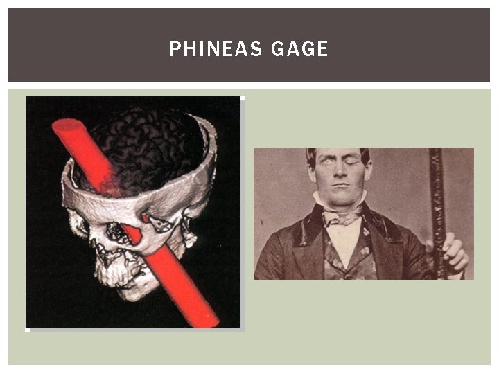 PHINEAS GAGE 