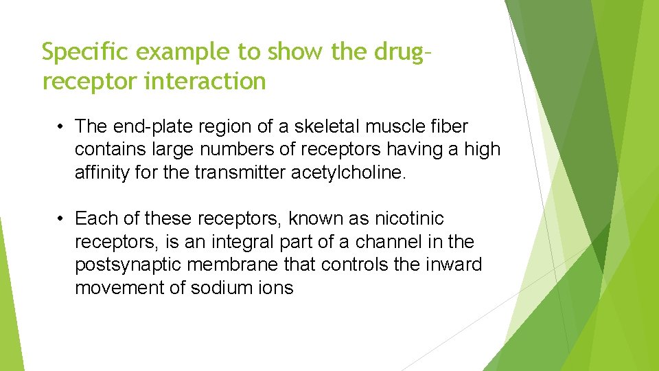 Specific example to show the drug– receptor interaction • The end-plate region of a