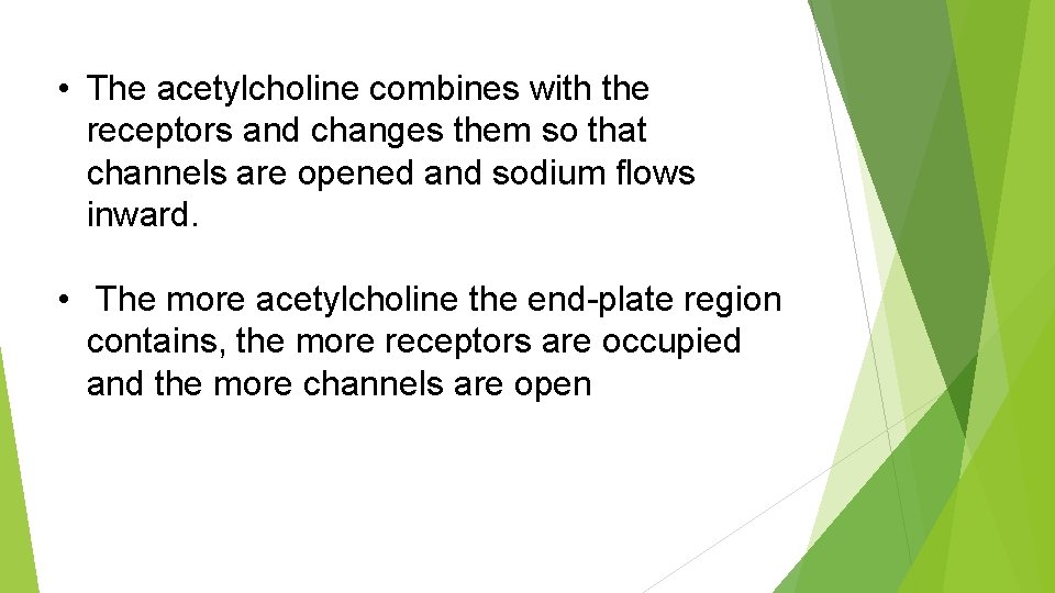  • The acetylcholine combines with the receptors and changes them so that channels