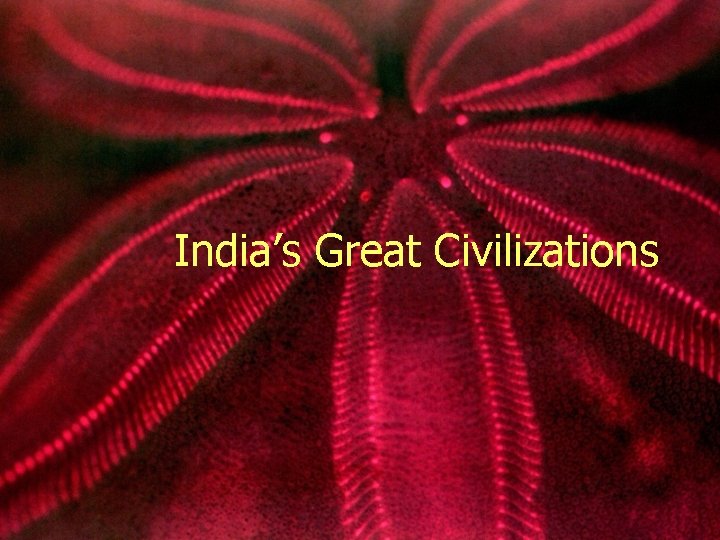 India’s Great Civilizations 