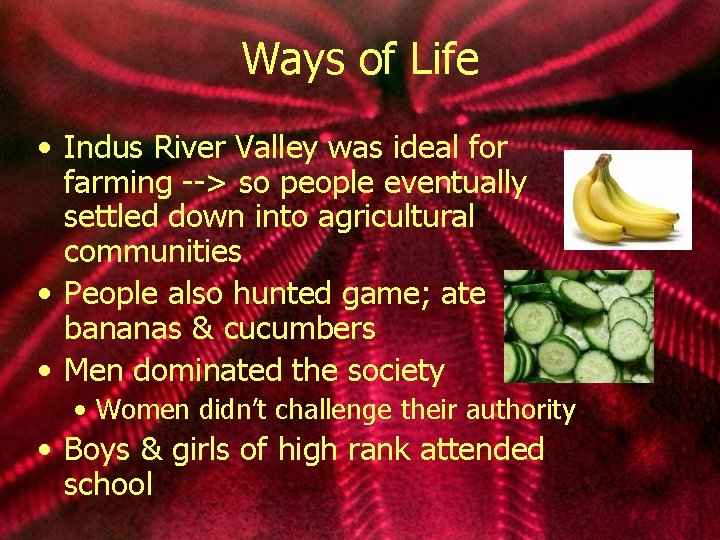 Ways of Life • Indus River Valley was ideal for farming --> so people