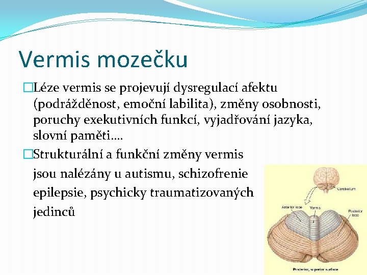 Vermis mozečku �Léze vermis se projevují dysregulací afektu (podrážděnost, emoční labilita), změny osobnosti, poruchy