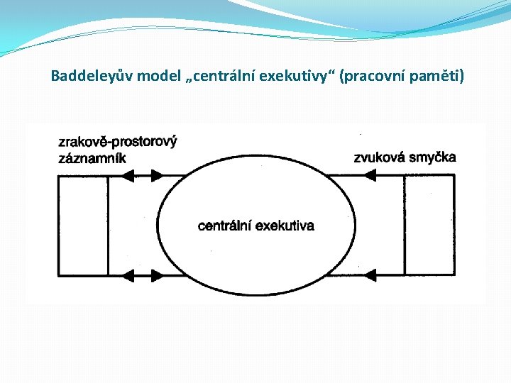 Baddeleyův model „centrální exekutivy“ (pracovní paměti) 
