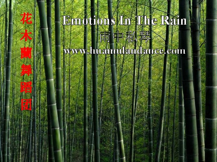 花 木 蘭 舞 蹈 团 Emotions In The Rain 雨中私琴 www. huamulandance. com