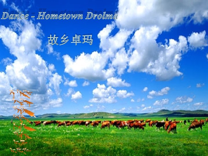 Dance - Hometown Drolma 故乡卓玛 