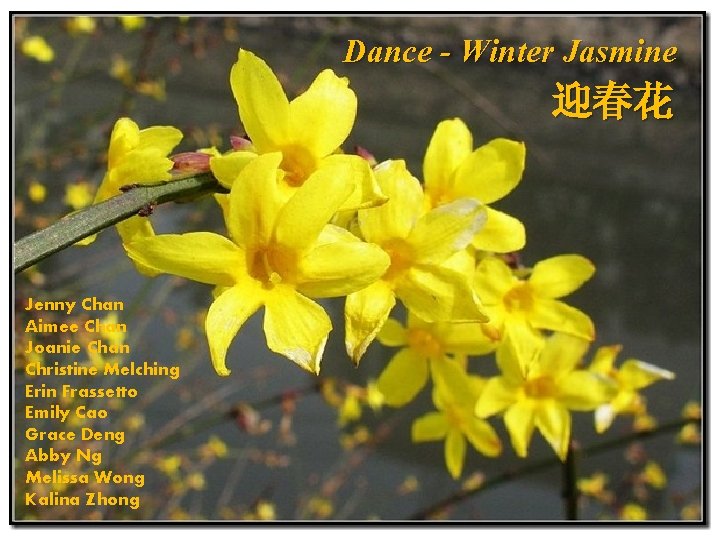 Dance - Winter Jasmine 迎春花 Jenny Chan Aimee Chan Joanie Chan Christine Melching Erin