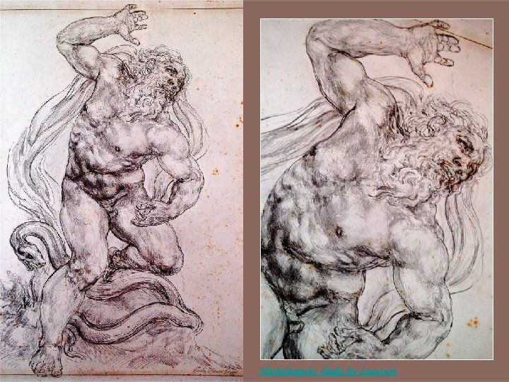 Michelangelo, Study for Laocoon 
