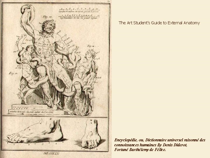 The Art Student's Guide to External Anatomy Encyclopédie, ou, Dictionnaire universel raisonné des connoissances