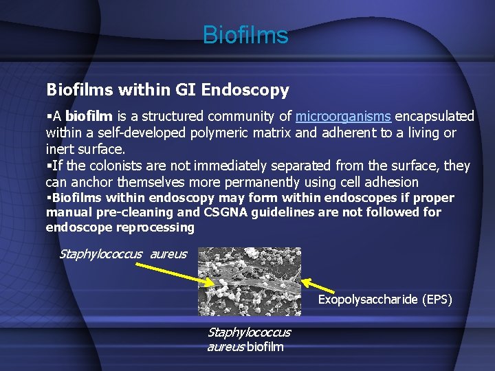 Biofilms within GI Endoscopy §A biofilm is a structured community of microorganisms encapsulated within