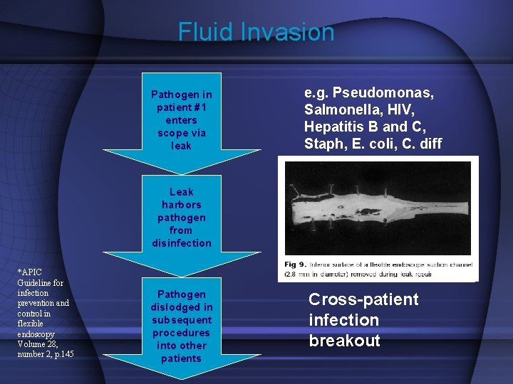 Fluid Invasion Pathogen in patient #1 enters scope via leak e. g. Pseudomonas, Salmonella,