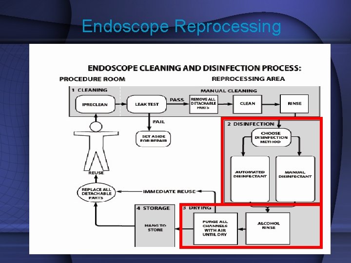 Endoscope Reprocessing 