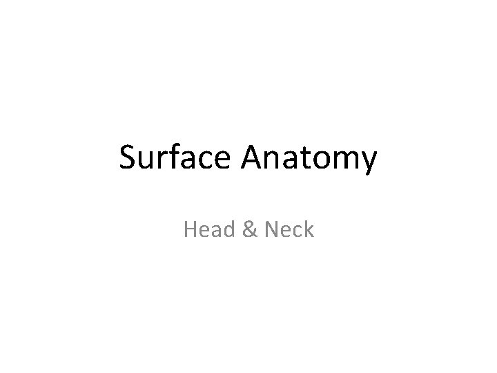 Surface Anatomy Head & Neck 