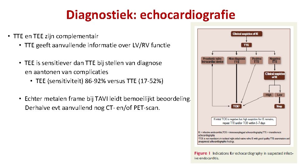 Diagnostiek: echocardiografie • TTE en TEE zijn complementair • TTE geeft aanvullende informatie over