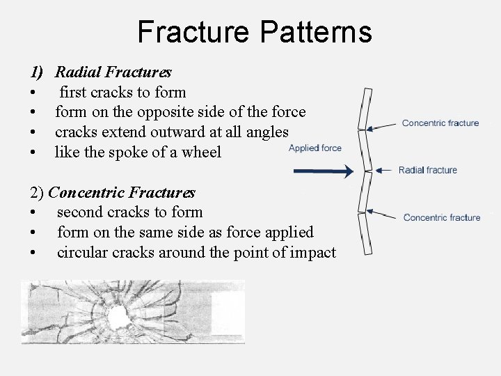 Fracture Patterns 1) • • Radial Fractures first cracks to form on the opposite