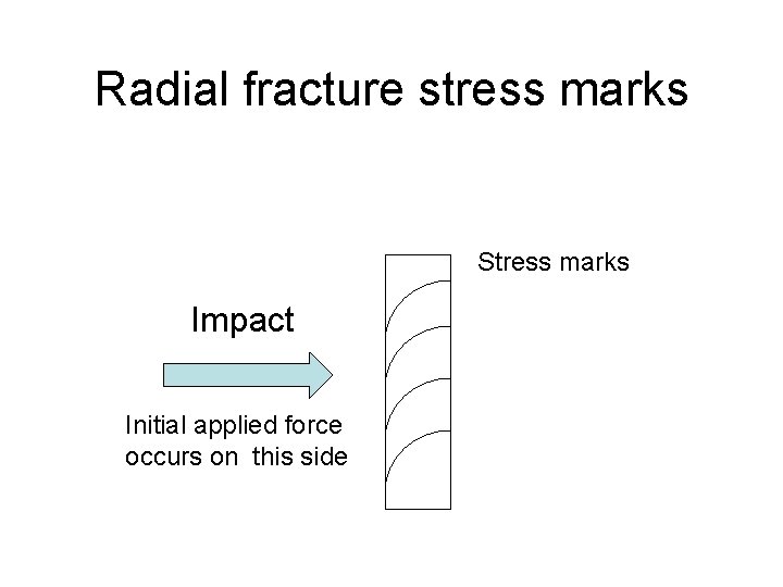 Radial fracture stress marks Stress marks Impact Initial applied force occurs on this side