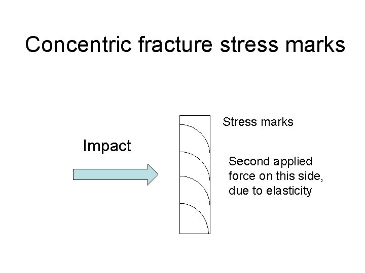 Concentric fracture stress marks Stress marks Impact Second applied force on this side, due