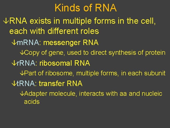 Kinds of RNA âRNA exists in multiple forms in the cell, each with different
