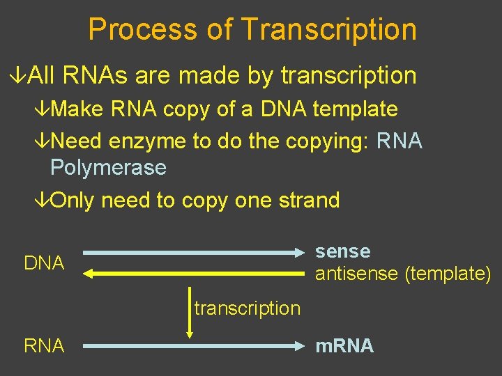 Process of Transcription âAll RNAs are made by transcription âMake RNA copy of a