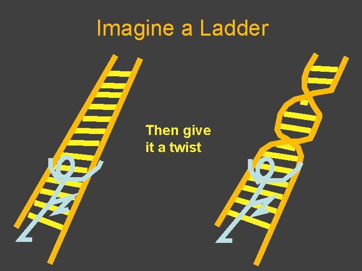 Imagine a Ladder Then give it a twist 