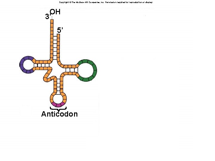 Copyright © The Mc. Graw-Hill Companies, Inc. Permission required for reproduction or display. OH
