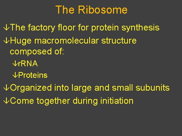 The Ribosome âThe factory floor for protein synthesis âHuge macromolecular structure composed of: âr.