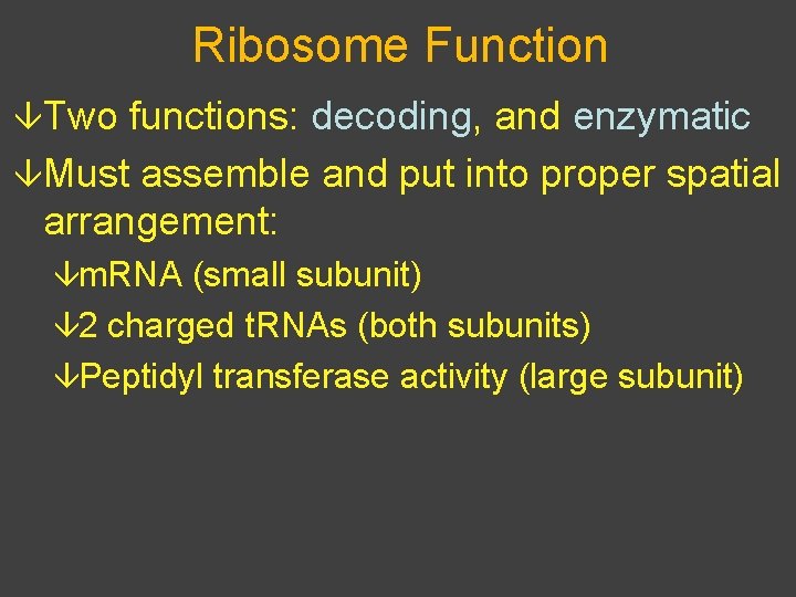 Ribosome Function âTwo functions: decoding, and enzymatic âMust assemble and put into proper spatial