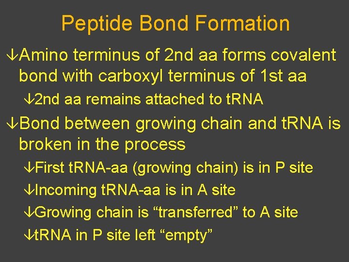 Peptide Bond Formation âAmino terminus of 2 nd aa forms covalent bond with carboxyl