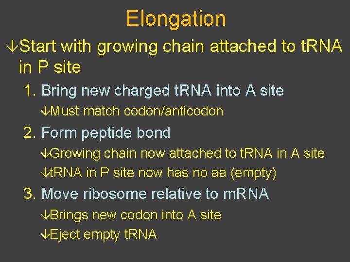 Elongation âStart with growing chain attached to t. RNA in P site 1. Bring